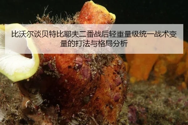 bi-wo-er-tan-bei-te-bi-ye-fu-er-fan-zhan-hou-qing-zhong-liang-ji-tong-yi-zhan-shu-bian-liang-de-da-fa-yu-ge-ju-fen-xi-2-371.jpg