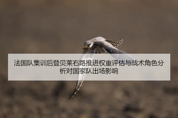 法国队集训后登贝莱右路推进权重评估与战术角色分析对国家队出场影响